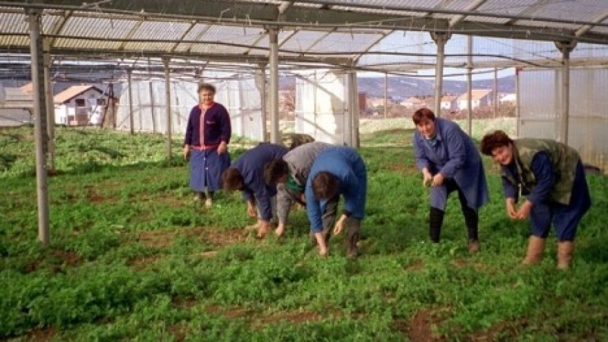 Kupovina udjela zadrugara završila u sudnici
