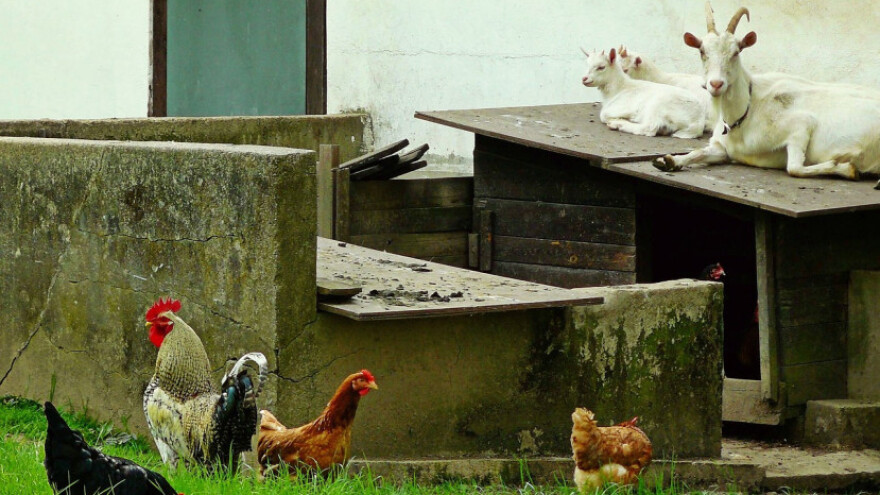 66.530 KM za poljoprivrednu proizvodnju