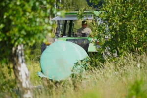 Smanjenje cijena za četiri vrste goriva