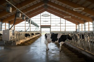 Nove isplate za IPARD projekte