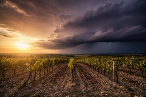 Nove opasnosti nakon vrućina