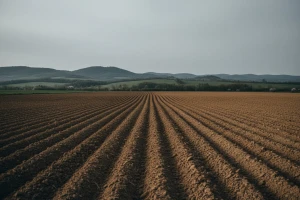 Novi natječaji za zakup državnog zemljišta