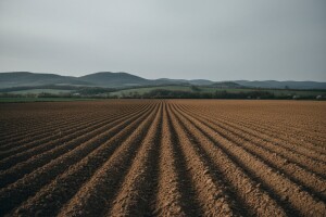 Novi natječaji za zakup državnog zemljišta