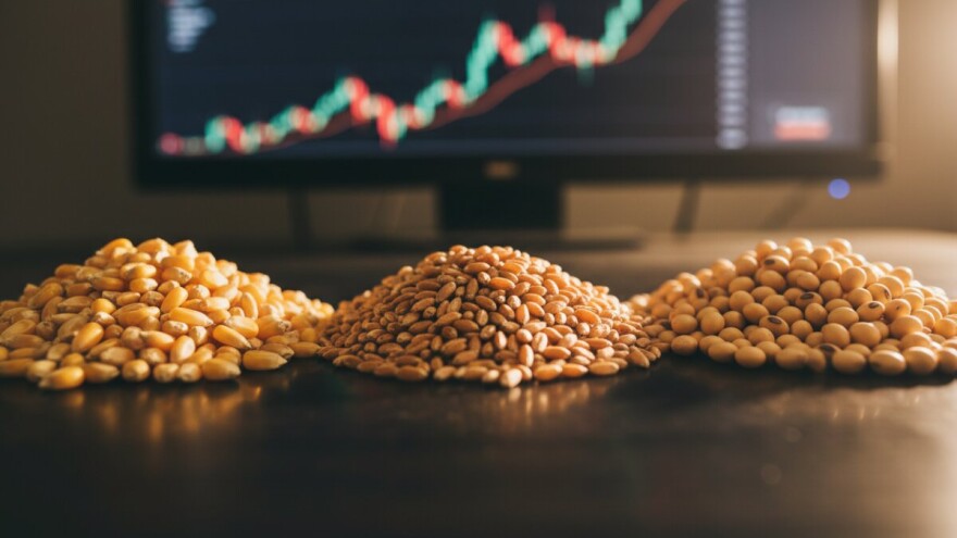 Novi rekordi na tržištu kukuruza i pšenice