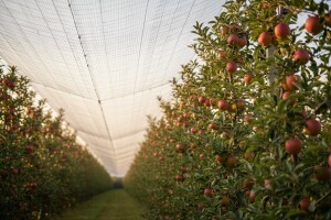 Novi ugovori za protivgradne mreže