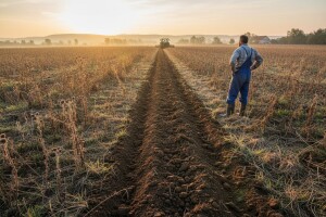 Novi zakon stavlja u funkciju nekorišteno zemljište