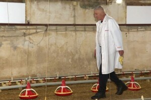 Lukini pilići kao igrači na terenu: "Ovdje svi znaju šta rade"
