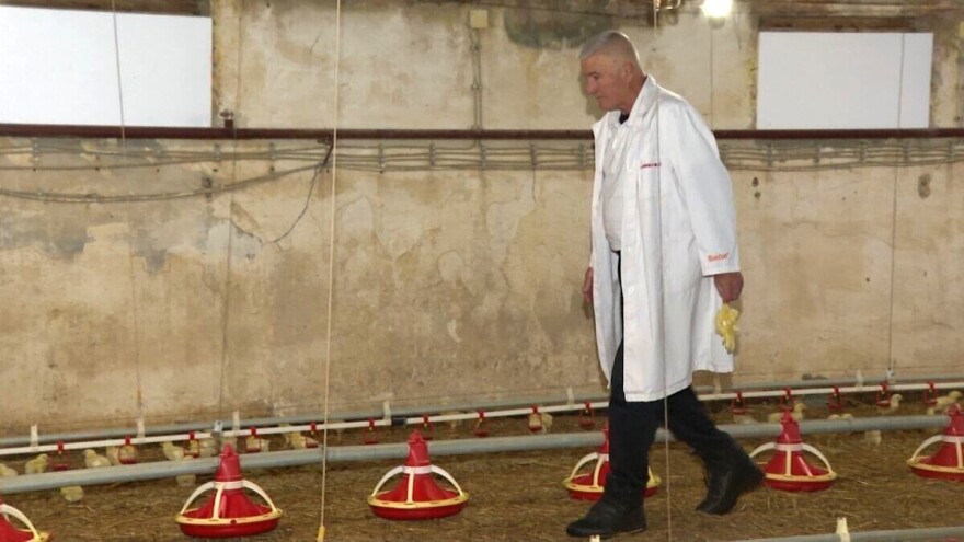 Lukini pilići kao igrači na terenu: "Ovdje svi znaju šta rade"