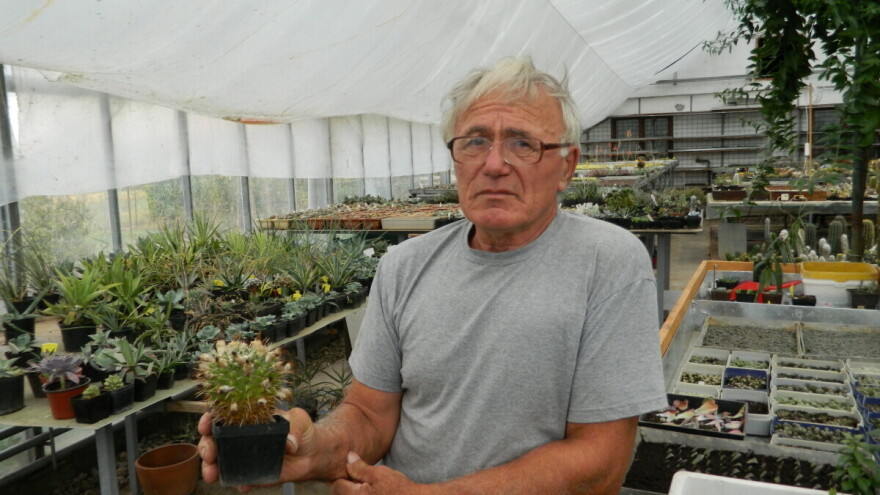 Uzgoj kaktusa nije posao već život i ljubav, Novica Janjić danas ima tisuću vrsta