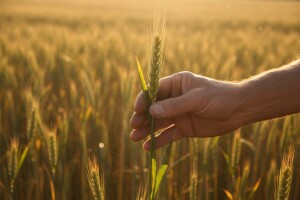 Noviteti za 2018. godinu na Bayer AgroShopExpert Eventu!