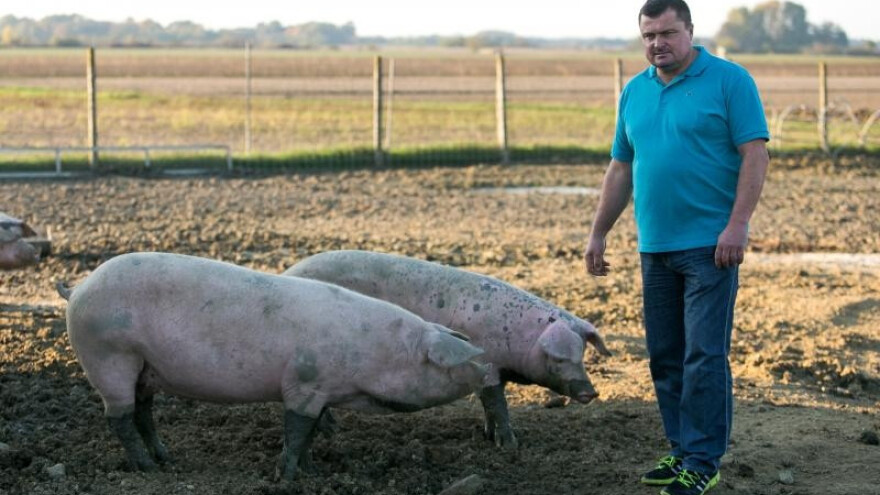 Morali smo birati, ili odustati ili napredovati