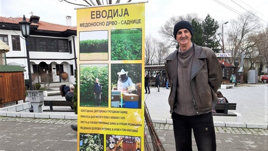 Evodija - otporna na gradske uslove, a bogata nektarom za pčele