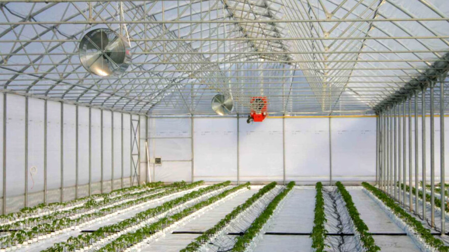 Želite da podignete plastenik? Evo koja pravila treba slediti