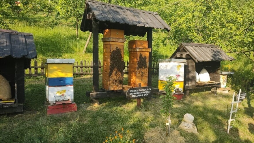 Prvi su na udaru klimatskih promjena, a imaju više cijene meda nego li u Hrvatskoj