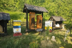 Bihaćki pčelari prvi na udaru klimatskih promjena - ove godine skuplji proizvodi