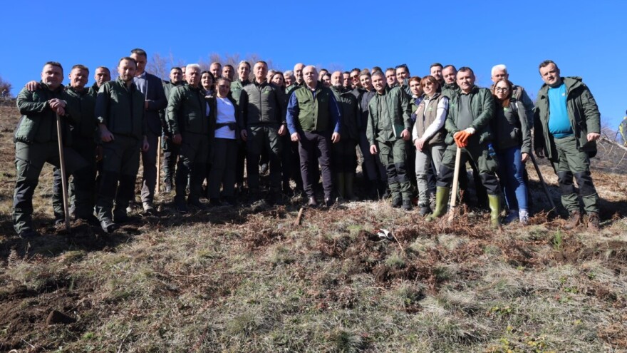 Pošumljavanje 65 hektara u okolini Novog Pazara do kraja godine