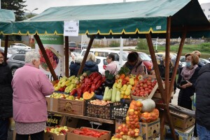 "Visočka zimnica" ponudila sve za pripremu različitih turšija