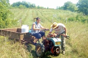 Ulagati u lijesku ili ne? Testirali namaz od lješnjaka kako bi donijeli odluku