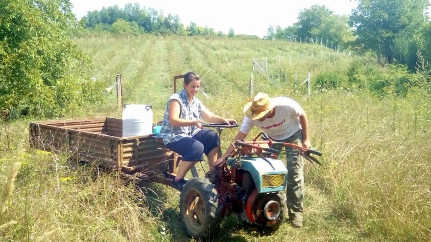 Ulagati u lijesku ili ne? Testirali namaz od lješnjaka kako bi donijeli odluku