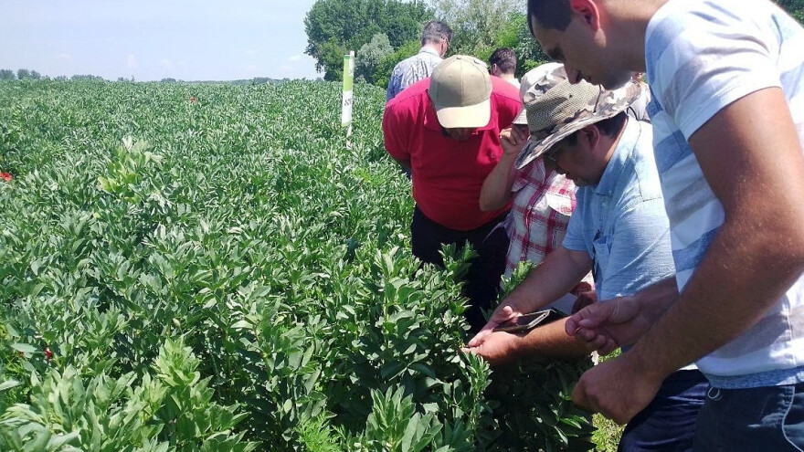 Oko boba iz Slavonije uskoro bi se mogao vrtjeti lanac prehrambene industrije Europe