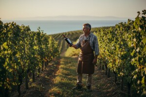 Nužno brendiranje Hrvatske kao vinske zemlje