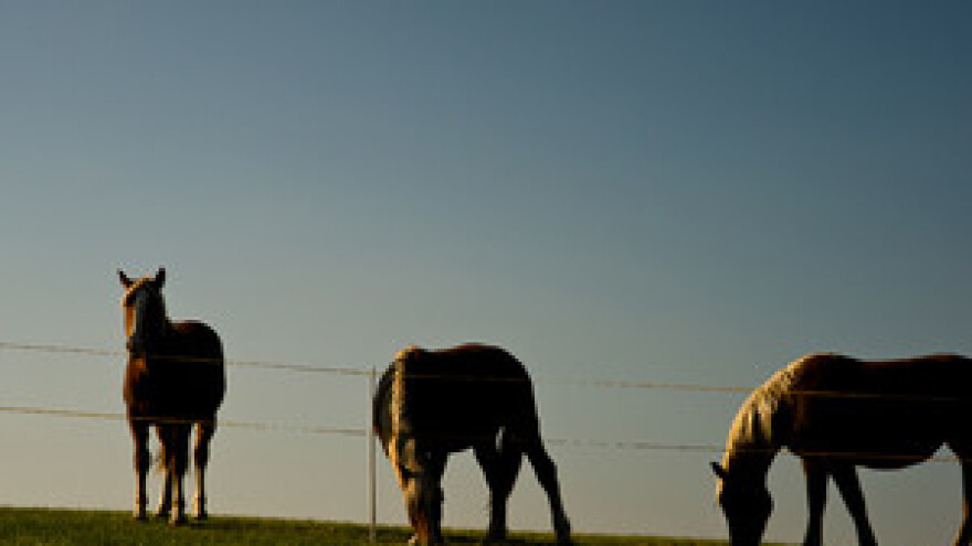 Na Borkovićevoj farmi izvršen inspekcijski nadzor