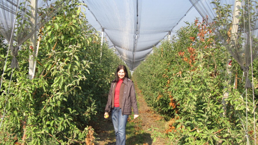 U Posavini žele na deminiranom zemljištu pokrenuti eko proizvodnju