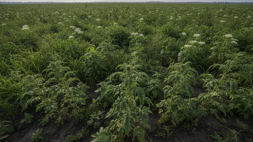 Obavijest poljoprivrednicima na poplavljenim područjima