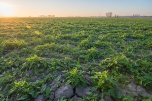 Obavijest poljoprivrednicima na poplavljenim područjima