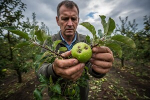 Obavijest poljoprivrednicima o zaštiti nakon tuče