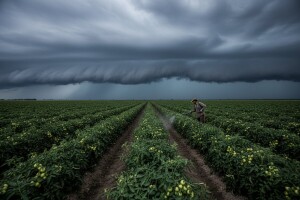 Obavijest povrtlarima!