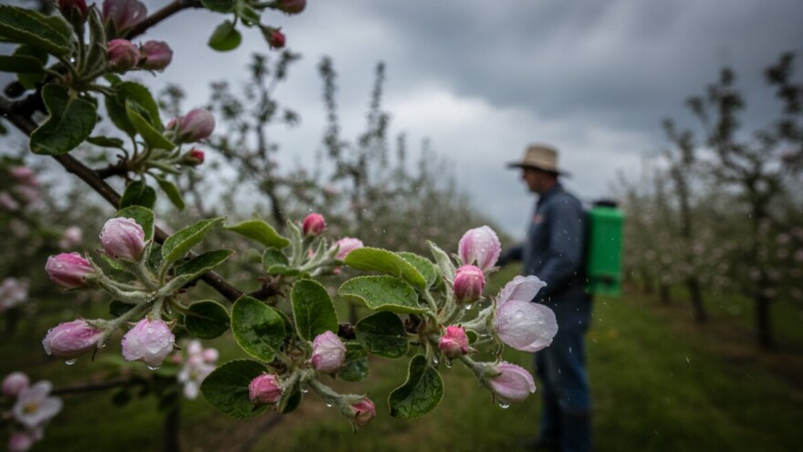 Obavijest proizvođačima jabuka i krušaka!