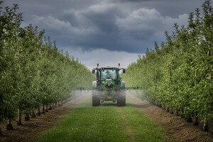 Obavijest proizvođačima jabuke!
