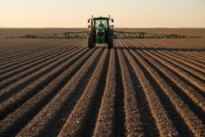 Obavijest proizvođačima kukuruza