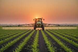 Obavijest proizvođačima kukuruza