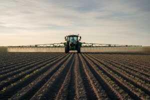 Obavijest proizvođačima kukuruza o preventivnom suzbijanju korova!