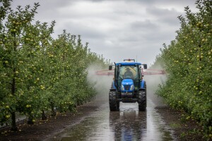 Obavijest proizvođačima plantažnih nasada jabuke