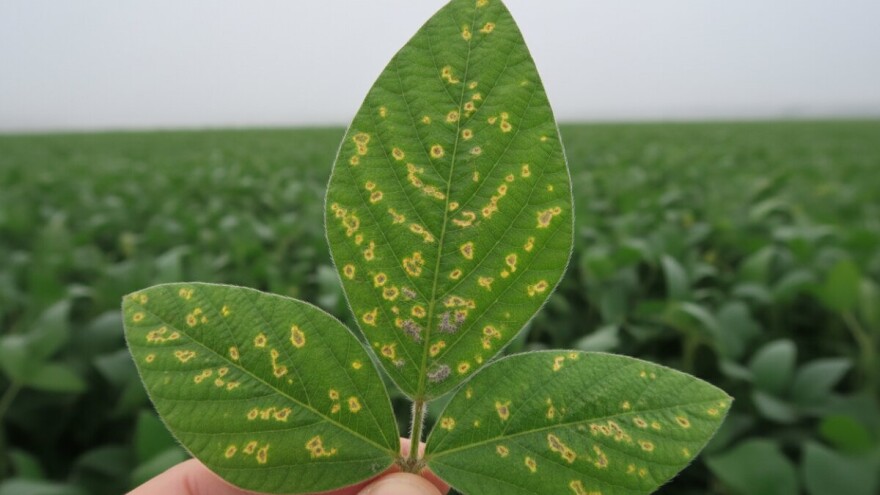 Obavijest proizvođačima soje