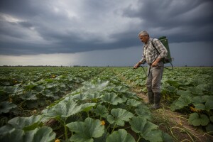 Obavijest proizvođačima tikvenjača!