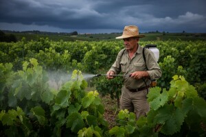 Obavijest vinogradarima!