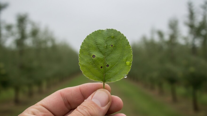 Obavijest voćarima!