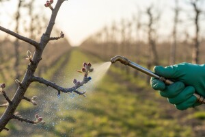 Obavijest voćarima!
