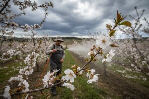 Obavijest voćarima!
