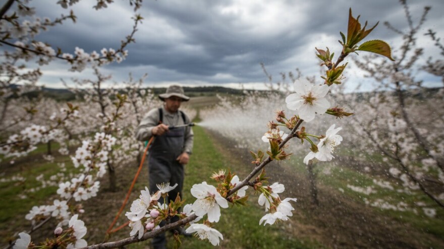 Obavijest voćarima!