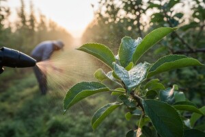 Obavijest voćarima!
