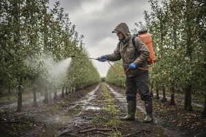 Obavijest voćarima!