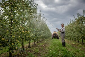 Obavijest voćarima!