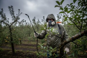 Obavijest voćarima!