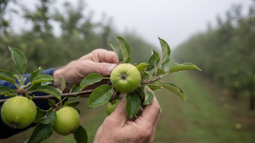 Obavijest voćarima!