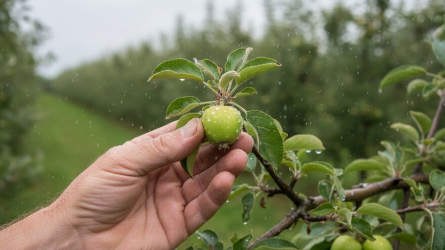 Obavijest voćarima!
